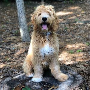 Meet your Posher, Lane